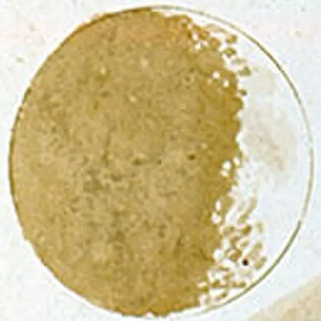 Galileo's ink wash drawing of a thin crescent moon