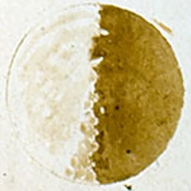 Galileo's drawing of a half moon lit from the left