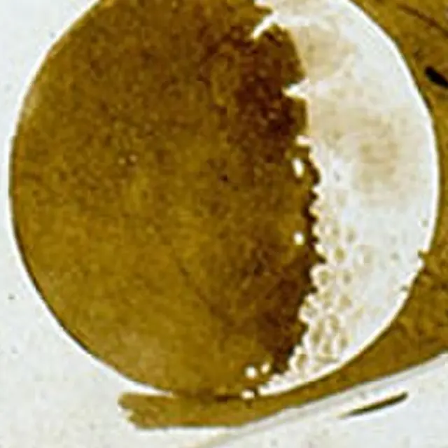 Galileo's drawing of a quarter moon with a jagged terminator
